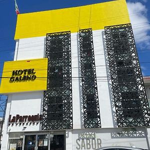 Hotel Galeno